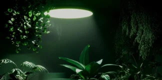 site-industries-cosmetiques Un jardin d'intérieur moderne composé de diverses plantes vertes luxuriantes et de grandes feuilles, éclairé par un plafonnier circulaire, crée un effet de lumière dramatique dans une pièce par ailleurs sombre, comme un croquis de Brouillon devenu réalité.