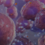site-industries-cosmetiques Close-up illustration of large, round, pink-purple cells, among which float, in a bluish environment, smaller white molecular structures and orange spheres, probably representing osmolytes.
