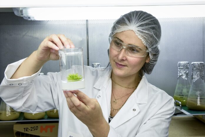 site-industries-cosmetiques Une femme vêtue d'une blouse de laboratoire, d'une charlotte et de lunettes de sécurité brandit un récipient transparent contenant une petite plante verte qu'elle examine dans un laboratoire avec des flacons à l'arrière-plan.