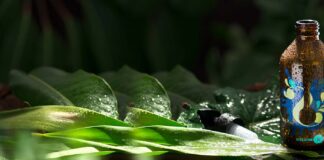 site-industries-cosmetiques 一个带有彩色叶片图案的棕色玻璃瓶放在湿漉漉的大绿叶上。在自然光的照射下，瓶子上布满水珠，周围环绕着热带树叶。.