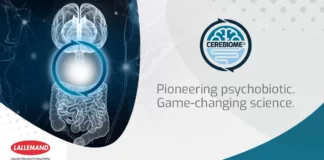 site-industries-cosmetiques Illustration médicale montrant un cerveau humain et un système digestif avec une zone surlignée en bleu, le logo CEREBIOME et le texte "Pioneering psychobiotic. Une science qui change la donne". Le logo de Lallemand Health Solutions se trouve en bas à gauche.