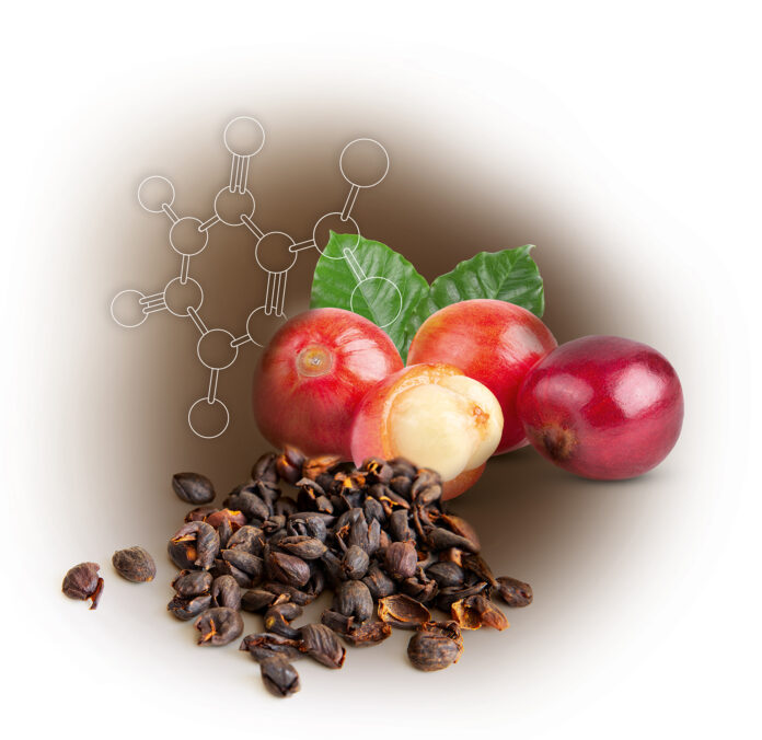 site-industries-cosmetiques Um grupo de cerejas de café vermelhas maduras e folhas verdes está ao lado de grãos de café secos abertos e rachados. Um diagrama ténue da estrutura molecular pode ser visto em segundo plano.