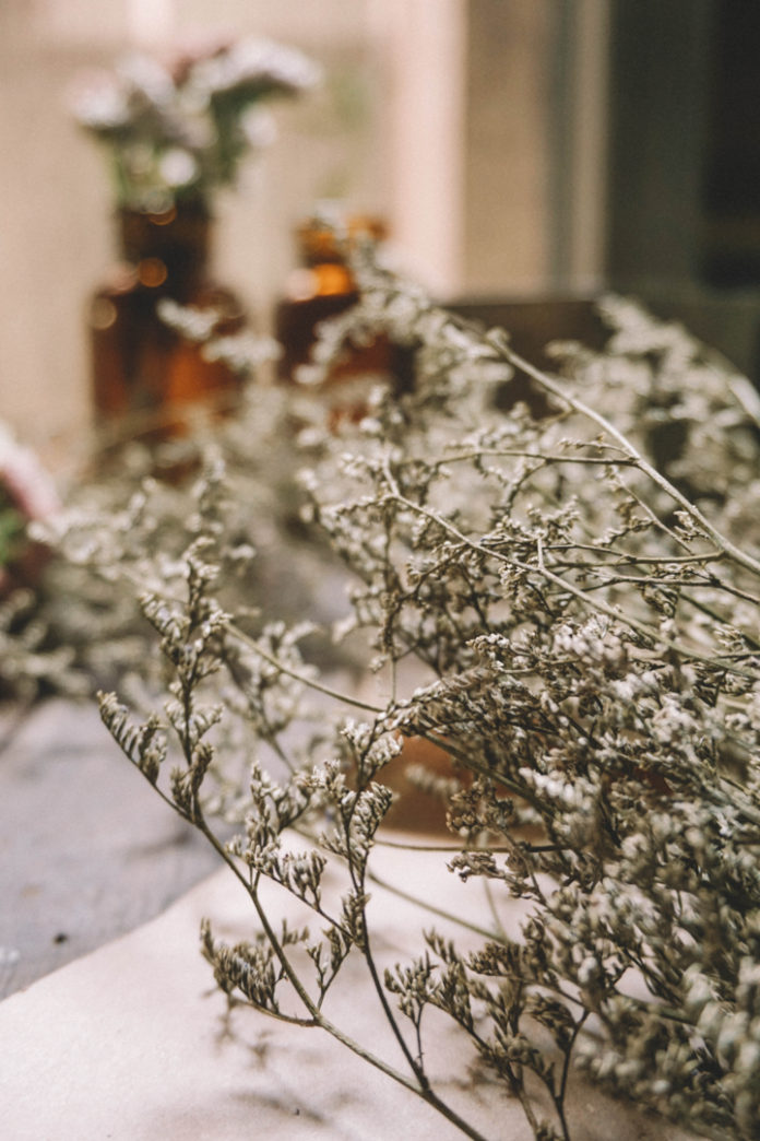 site-industries-cosmetiques Las flores secas del primer plano descansan sobre una superficie, mientras que los tarros de cristal que contienen otras flores se difuminan en el fondo. La escena está suavemente iluminada, creando un ambiente natural y rústico.