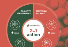 site-industries-cosmetiques L'infographie de CocoaMind "2 in 1 Action" montre les avantages divisés en deux sections : performance cognitive (concentration, mémoire) et équilibre émotionnel (humeur, bien-être), sur fond de cacao.