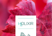 site-industries-cosmetiques Une étiquette blanche portant les mentions "HOLIXIR" et "RED VINE", avec une illustration de feuille de vigne, est centrée sur un grand fond de feuille de vigne rouge.