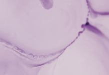 site-industries-cosmetiques Image abstraite avec des motifs doux et tourbillonnants dans différentes nuances de violet clair. Les formes fluides créent un effet marbré, avec des lignes courbes plus sombres et des dégradés subtils qui se mélangent sur la surface.