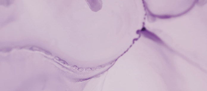 giv-image-vectorhyal-1920x600_0 site-industries-cosmetiques Imagem abstrata com padrões suaves e rodopiantes em diferentes tons de roxo claro. As formas fluidas criam um efeito marmoreado, com linhas curvas mais escuras e gradações subtis que se misturam na superfície.