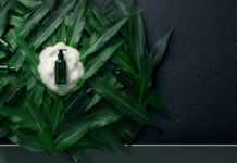 site-industries-cosmetiques Un flacon-pompe vert entouré de mousse blanche est posé sur un lit de longues feuilles vertes, avec d'autres flacons partiellement cachés parmi les feuilles sur un fond texturé foncé.