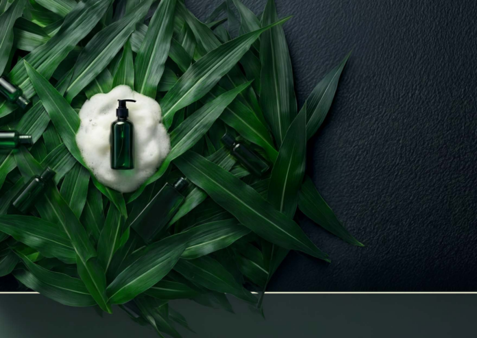 site-industries-cosmetiques Un flacon-pompe vert entouré de mousse blanche est posé sur un lit de longues feuilles vertes, avec d'autres flacons partiellement cachés parmi les feuilles sur un fond texturé foncé.
