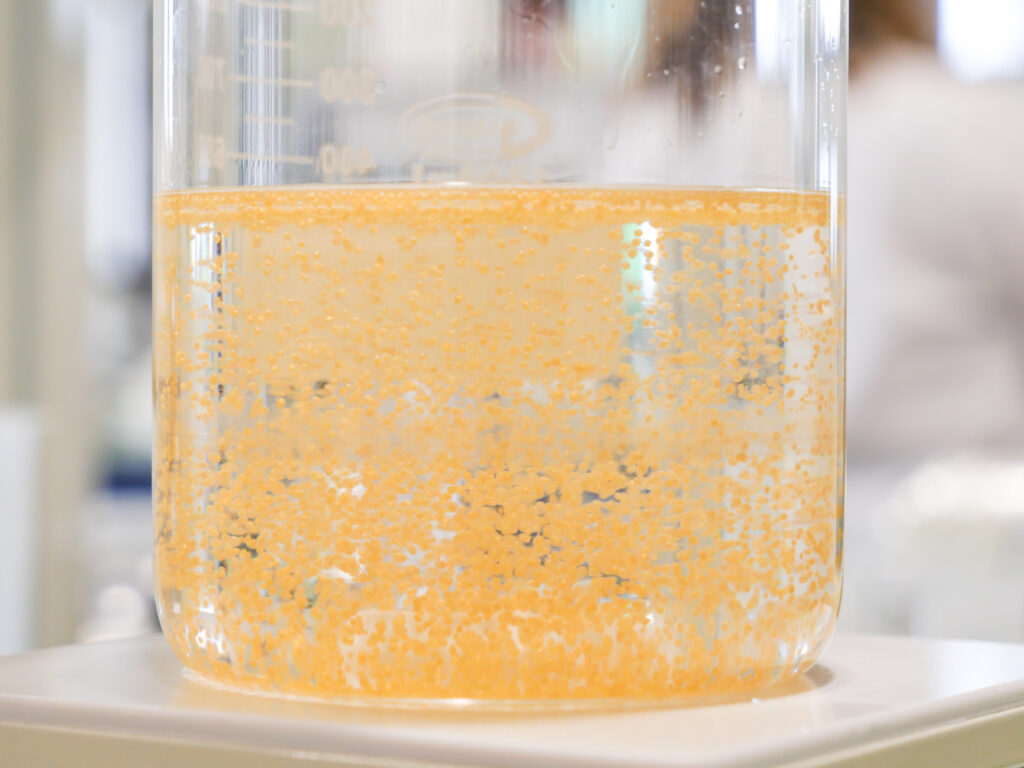 D.I.V.A.S.,Technature 推动配方技术发展的技术 1 site-industries-cosmetiques 一个标有 RSE 的透明烧杯的特写,烧杯中装有透明液体和橙色悬浮颗粒,背景模糊不清。.