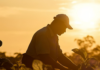 A Trasce estrutura a rastreabilidade dos produtos cosméticos e apresenta os seus primeiros resultados site-industries-cosmetiques Uma pessoa com um boné a cuidar das plantas num campo ao pôr-do-sol; a luz do sol confere-lhe uma silhueta com tons quentes e dourados.