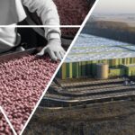 GT Logistics: 20 anos de co-packing para a indústria cosmética site-industries-cosmetiques Imagem dividida mostrando, à esquerda, uma pessoa a separar feijões vermelhos num tapete rolante e, à direita, uma vista aérea de uma grande unidade industrial com um parque de estacionamento e campos circundantes.