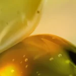site-industries-cosmetiques Imagen de primer plano que muestra dos formas abstractas translúcidas en tonos amarillos y verdes con pequeñas burbujas en su interior, sobre un fondo ligeramente difuminado. Las formas tienen una superficie lisa y brillante.