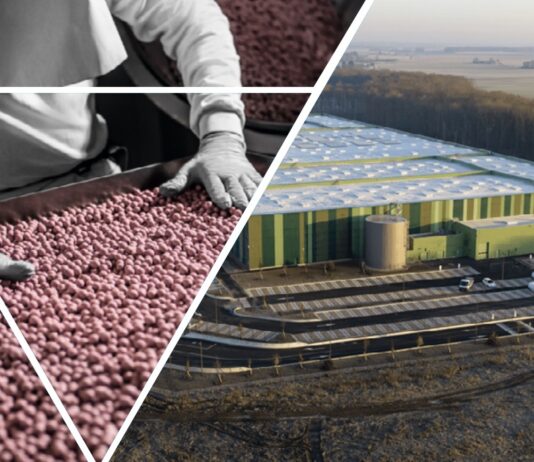 site-industries-cosmetiques Imagem dividida mostrando, à esquerda, uma pessoa a separar feijões vermelhos num tapete rolante e, à direita, uma vista aérea de uma grande unidade industrial com um parque de estacionamento e campos circundantes.