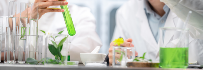 site-industries-cosmetiques Dos personas con bata de laboratorio manipulan un líquido verde en tubos de ensayo, rodeadas de material de vidrio, plantas, un vaso de precipitados, así como un mortero y una maja colocados sobre una mesa de laboratorio. El escenario sugiere un experimento de botánica o de química.