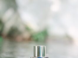 site-industries-cosmetiques 一只透明玻璃香水瓶，配有银色瓶盖，静静地置于一块半浸没在浅溪中的岩石上。背景略显模糊，沐浴在室外的自然光线下。.